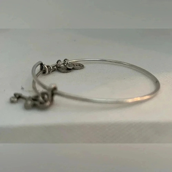 Alex and Ani | Skeleton Key charm bracelet. - Picture 10 of 12